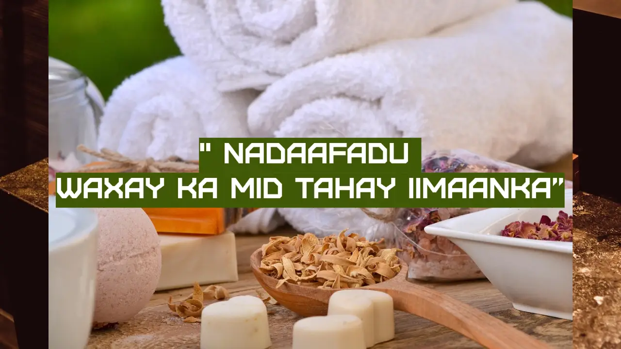 nadaafad