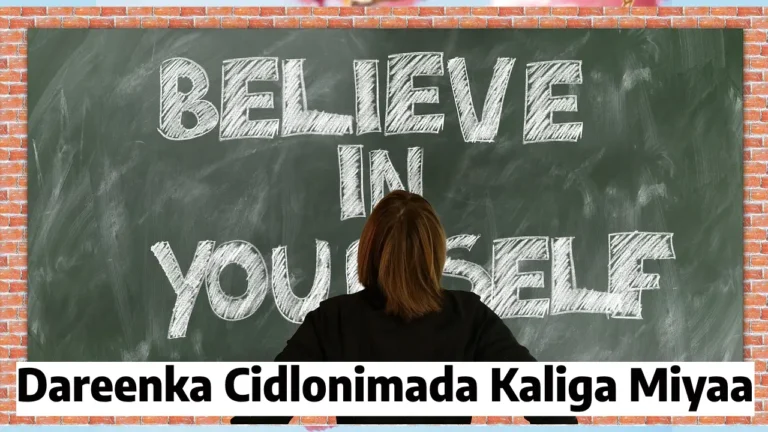 Dareenka cidlonimada